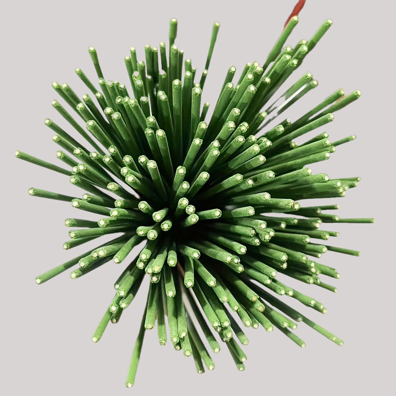 Reed difusor varas capim-limão - Home Fragrance Logo avaliação e preço