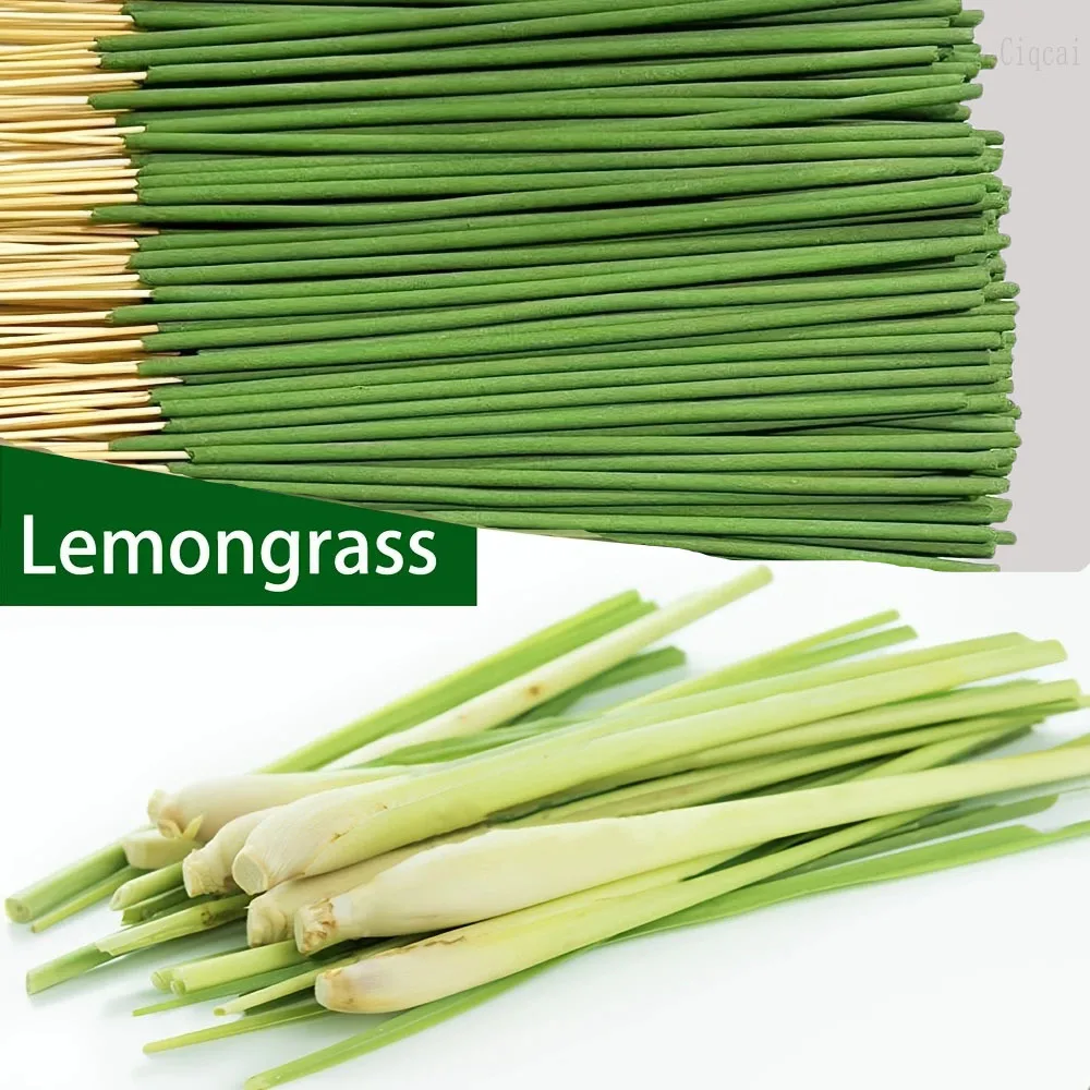 Reed difusor varas capim-limão - Home Fragrance Logo avaliação e preço